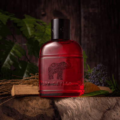Forest Energy Ceylon Elephant - Men's Eau De Perfume 100ml