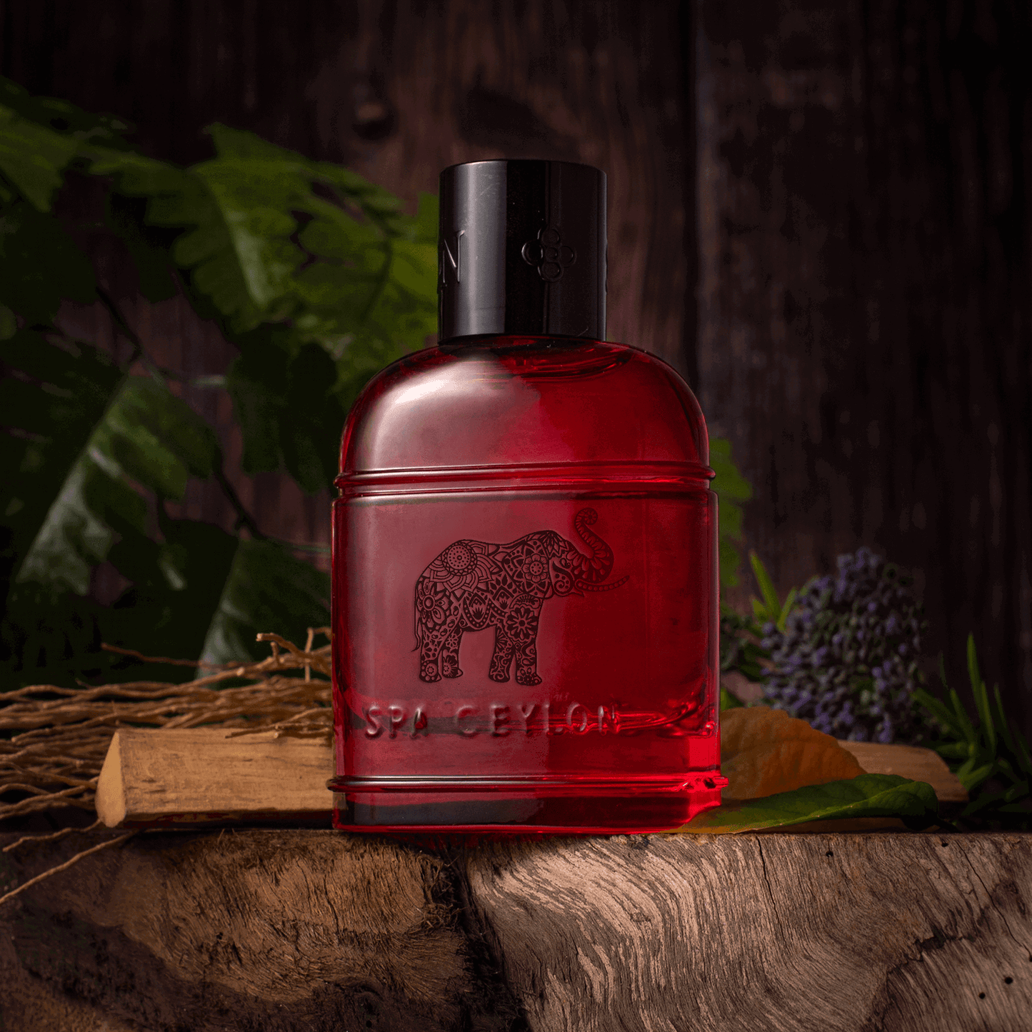 Forest Energy Ceylon Elephant - Men's Eau De Perfume 100ml
