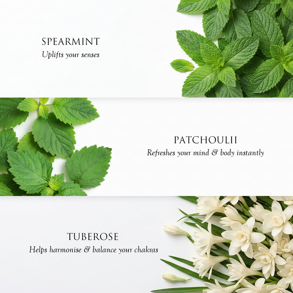 SeaVeda - Uplifting Discovery Set