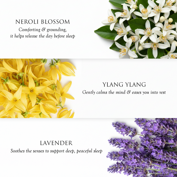 Sleep Intense - Discovery Set